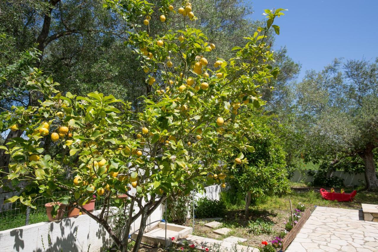 Karia Holiday Home Λευκίμμη Εξωτερικό φωτογραφία